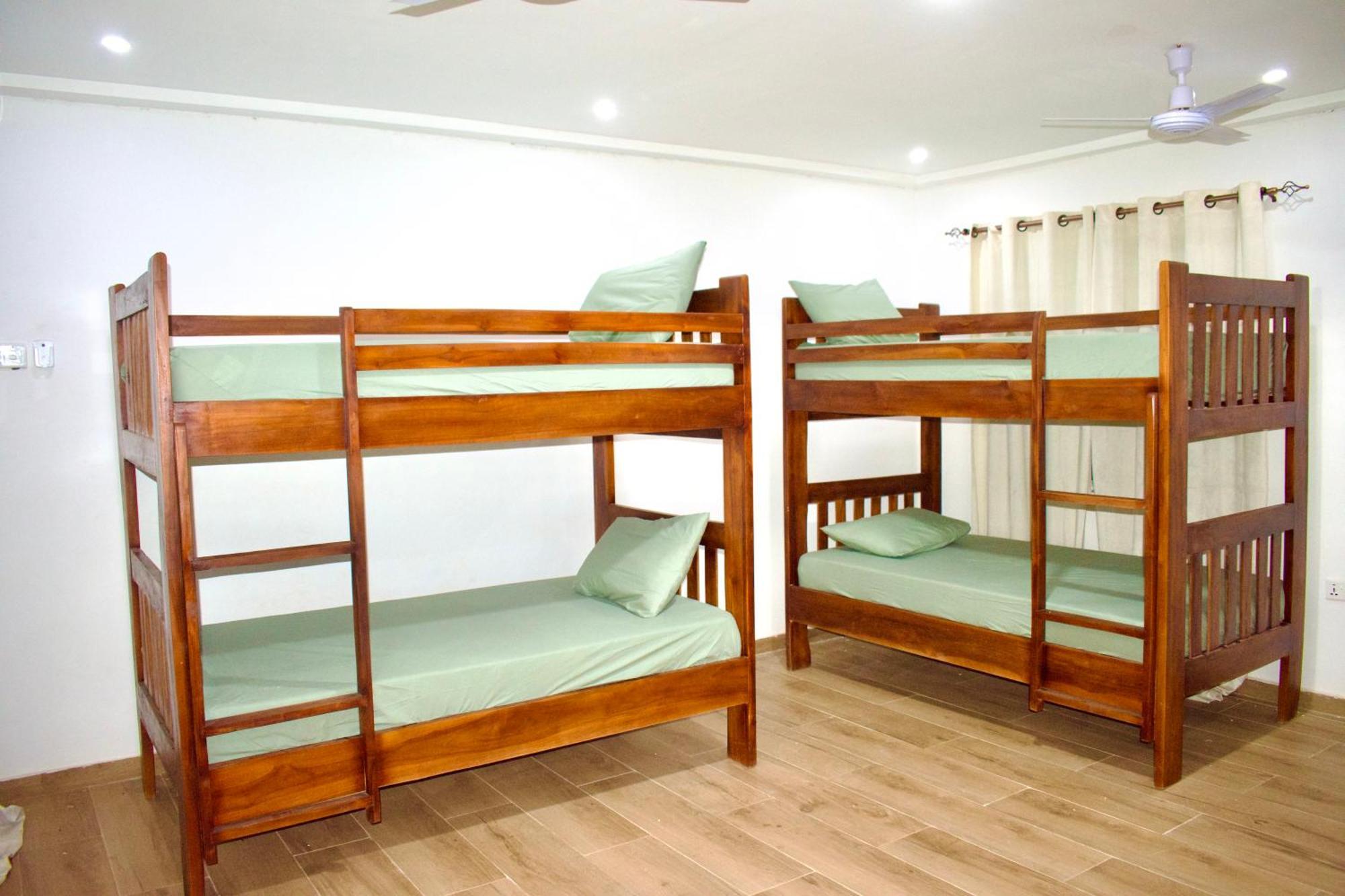 Tree House Hostel Tamale 外观 照片
